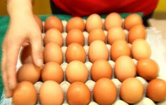 亳州客户用速壮丁鸡蛋蛋壳品质好