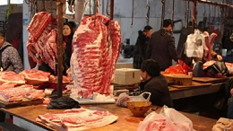 猪价刚涨就暴跌，原因分析-上海邦森