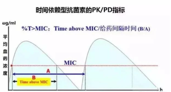 时间依赖型抗菌素