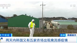 上海邦森分享央视报道：韩国禽流感肆虐