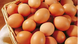 上海邦森分享鸡蛋易碎的6个原因