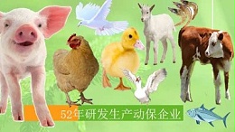 VC在畜禽上的应用-上海邦森